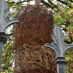 Blumenhaus Lindenblüte in Dresden