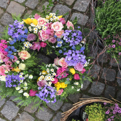 Blumenhaus Lindenblüte in Dresden